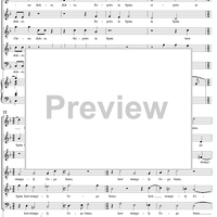 The Andalusian Merchant