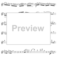 Flute Concerto in G Major, Allegro - Flute