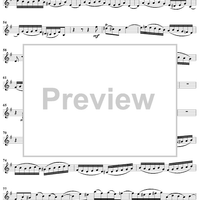 "Zum reinen Wasser er mich weist", Aria, No. 2 from Cantata No. 112: "Der Herr ist mein getreuer Hirt" - Violin