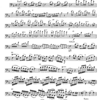 Concerto in F Major for Bassoon, Strings and Cembalo - Bassoon