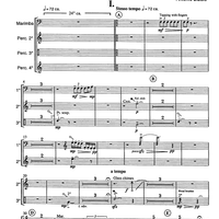 5 Frammenti sinfonici