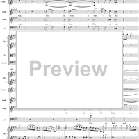 "O selige Wonne! Die glänzende Sonne steigt", No. 8 from "Zaide", Act 1, K336b (K344) - Full Score