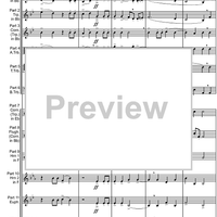 Canzon Duodecimi Toni - Score