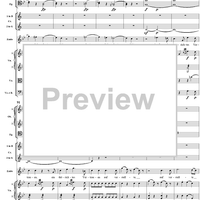 "Tiger! Wetze nur die Klauen", No. 13 from "Zaide", Act 2, K336b (K344) - Full Score