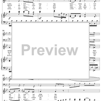 Twenty five Irische Lieder