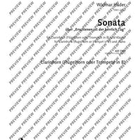 Sonata über "Erschienen ist der herrlich Tag"