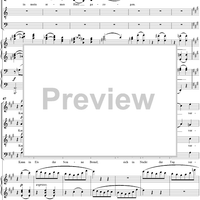 Neue Liebeslieder Walzes, Op. 65, No. 14  ("Flammenauge")