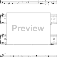 Following The Leader