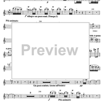 Divertimento - Flute/Piccolo