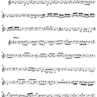 Sonata No. 6 in D Minor - Violin