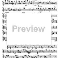 Bündner Tänze Op.108b - Flute