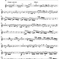 Concerto in D Minor - Violin 4