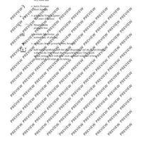 Il Vitalino raddoppiato - Full Score