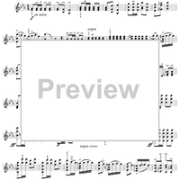 Twenty-Four Caprices: Nos. 13 - 24