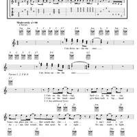 Cats Under the Stars