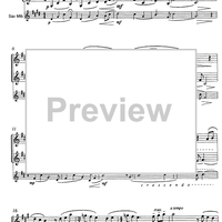 Volo Vienna - Parigi - N.Y.