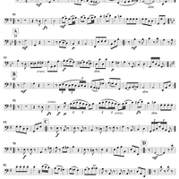 Piano Trio in G Major ("Gypsy Trio"), HobXV/25 - Cello