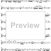 Sonata No. 2 in B Minor - Flute