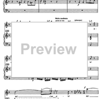 Ombre Légère from Dinorah