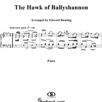 The Hawk of Ballyshannon