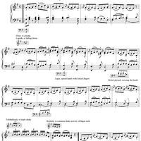 Cooee en Devenish or The Lamentation of Youths