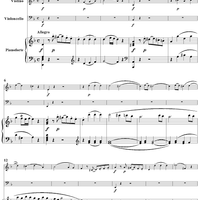 Piano Trio in D Minor K442 - Piano Score