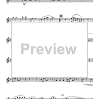 Reflections Of Life - Flute