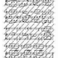 Concerto D minor in D minor - Score and Parts