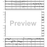 Concerto in F Major No. 13 - "The Cuckoo and the Nightengale" - Score