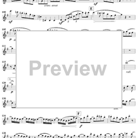 Grand Duo in E Minor, Op. 39, No. 1 - Flute 1