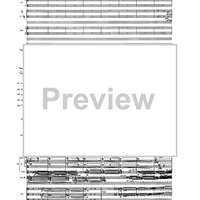 Birds In Light - Full Score