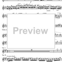 Quintet Op.43 - Flute