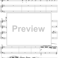 Double Piano Concerto No. 10 in E-flat Major, K316a (K365), Movement 1