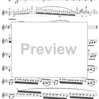 Twenty-Four Caprices: Nos. 13 - 24