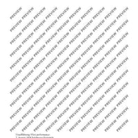 Il Vitalino raddoppiato - Full Score