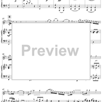 Flute Concerto in G Major - Piano Score