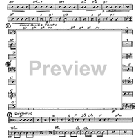 The Toy Trumpet - Guitar