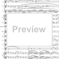 Mass No. 18 in C Minor, No. 7: Quoniam - Full Score