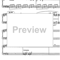 Cadenza Concerto D Major No.11 1st and  2nd movement