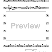 Washington Grays March - Trombone