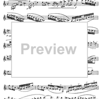 Preliminary studies to 'The Accomplished Clarinettist' Vol. 3 - Clarinet