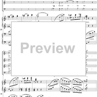 Finstere Schatten der Nacht - No. 2 from "Neue Liebeslieder" - Op. 65