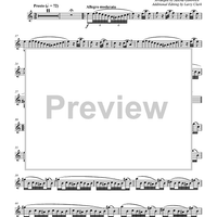 Tourbillon (Whirlwind) from Suite for Flute and Piano