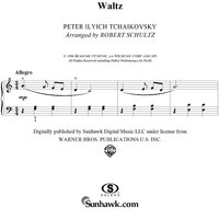 Symphony No. 5 in E minor (e-moll). Movement III (Theme)