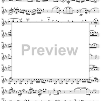 Violin Concerto No. 2 - Solo Violin