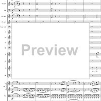 Mass in C Major, No. 6: Agnus Dei - Full Score