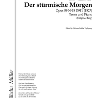 Der stürmische Morgen Op.89 No.18 D911