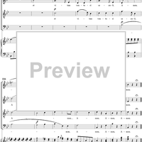 Mass No. 9 (Sancti Bernardi) in B-flat Major, "Heiligmesse": No. 3. Credo