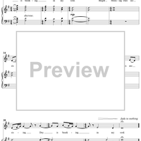 Bright Morning Stars