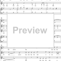 Dear Pity, How, Ah, How?